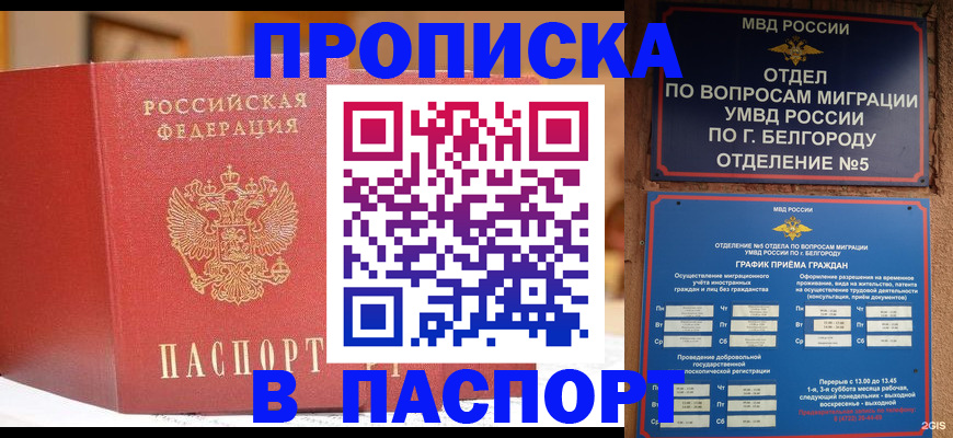 временная регистрация в квартире в Апатитах